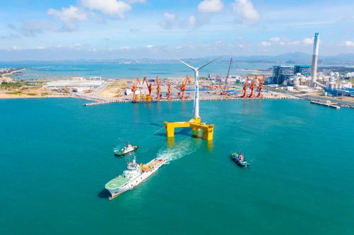 三峽集團發(fā)揚“三牛”精神，引領中國海上風電發(fā)展與航空國際貨運代理