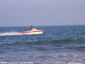 海上游覽與航空國(guó)際貨運(yùn)代理 現(xiàn)代物流與旅游的雙重畫(huà)卷
