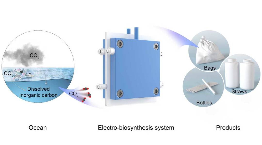 從諾獎發現到航空貨運革命 中國科學家用二氧化碳“變廢為寶”的綠色突破