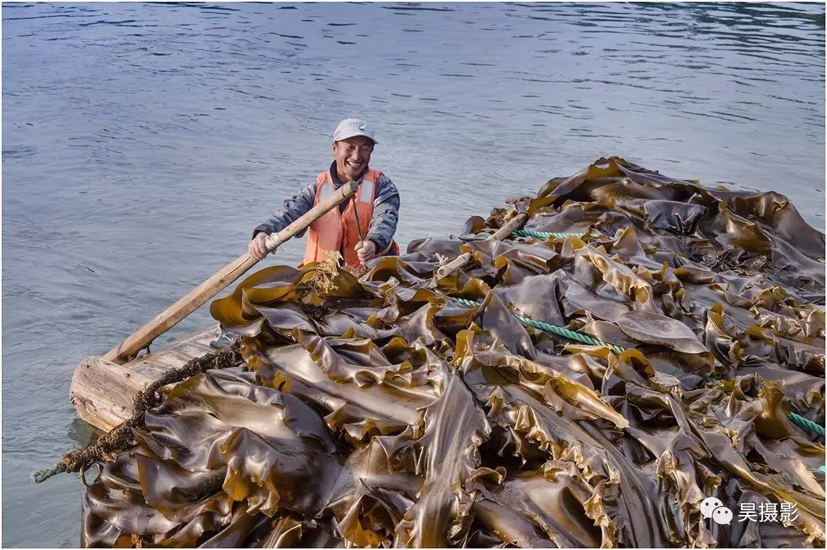 “陸路”大閘蟹 滿載而歸的“海上大豐收”
